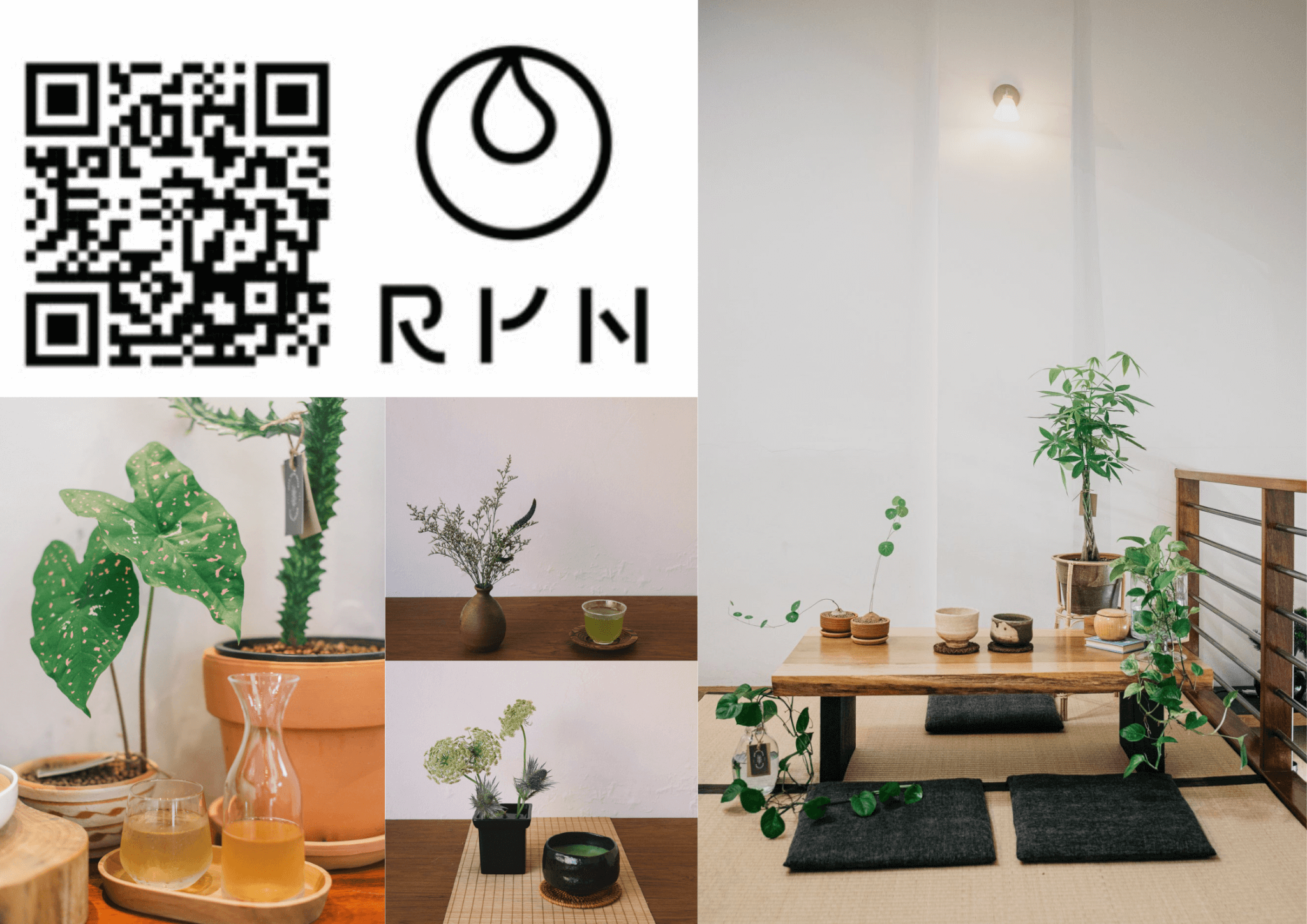 RYN
