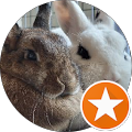R C profile picture