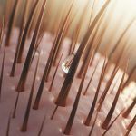 Scalp Health: The Root of Radiant Hair Featured Image 1778910485.jpg