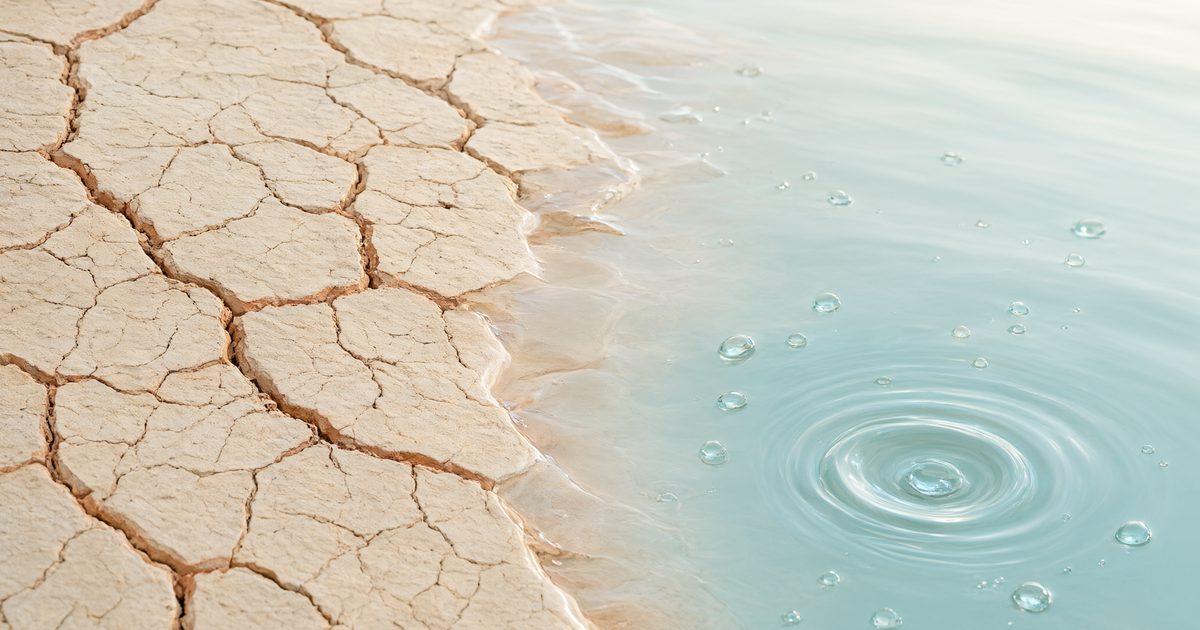 Tropical skin barrier repair Phuket — cracked-to-dewy texture representing recovery after sun and salt exposure